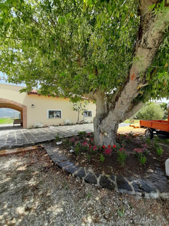 B&B Tenuta San Michele Capaccio Екстериор снимка