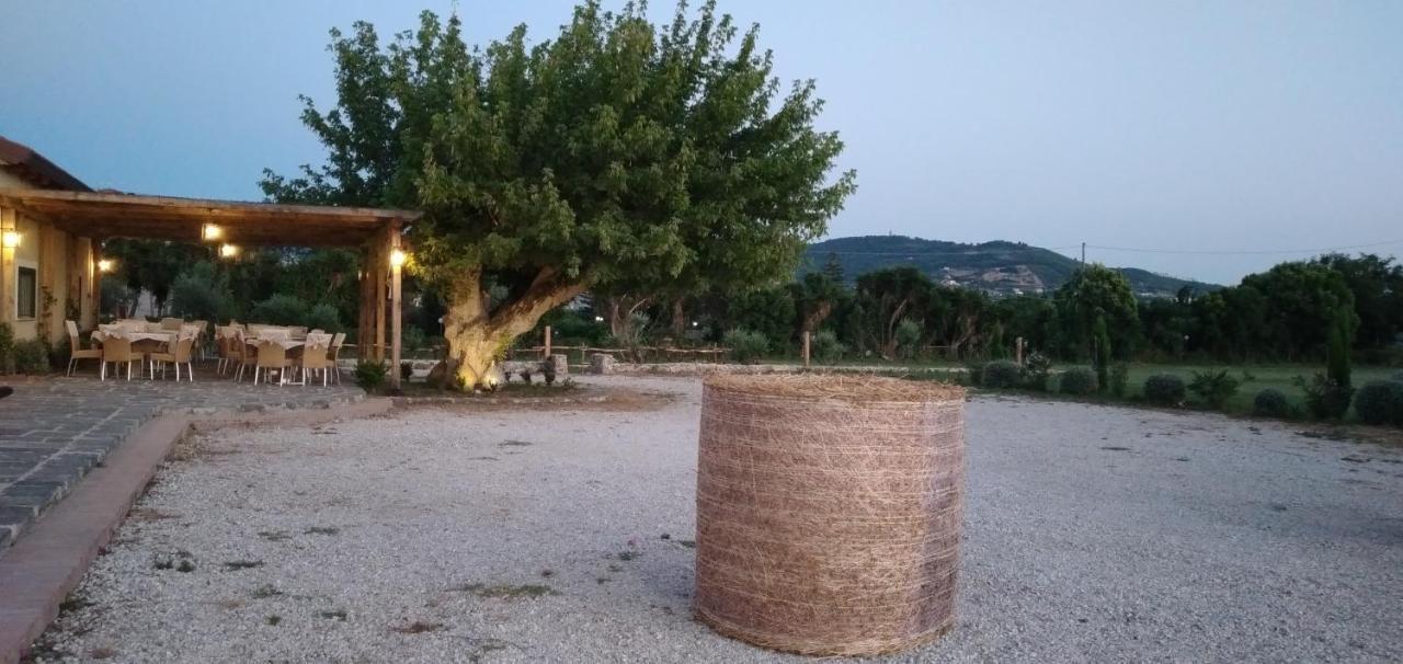 B&B Tenuta San Michele Capaccio Екстериор снимка