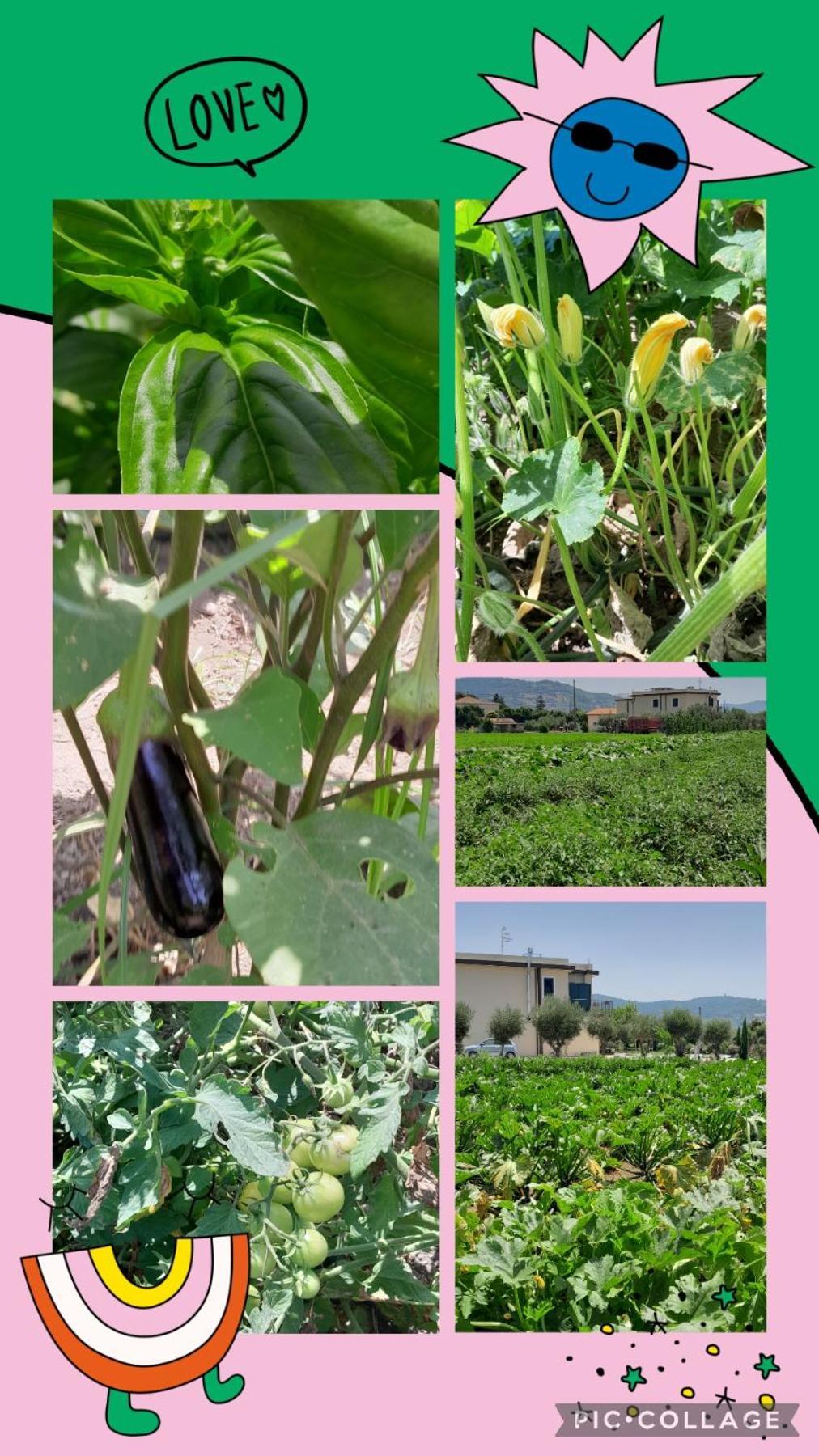 B&B Tenuta San Michele Capaccio Екстериор снимка